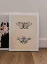 Load image into Gallery viewer, Moths 22”x28”
