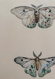 Moths 22”x28”