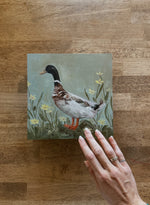 Load image into Gallery viewer, Duck
