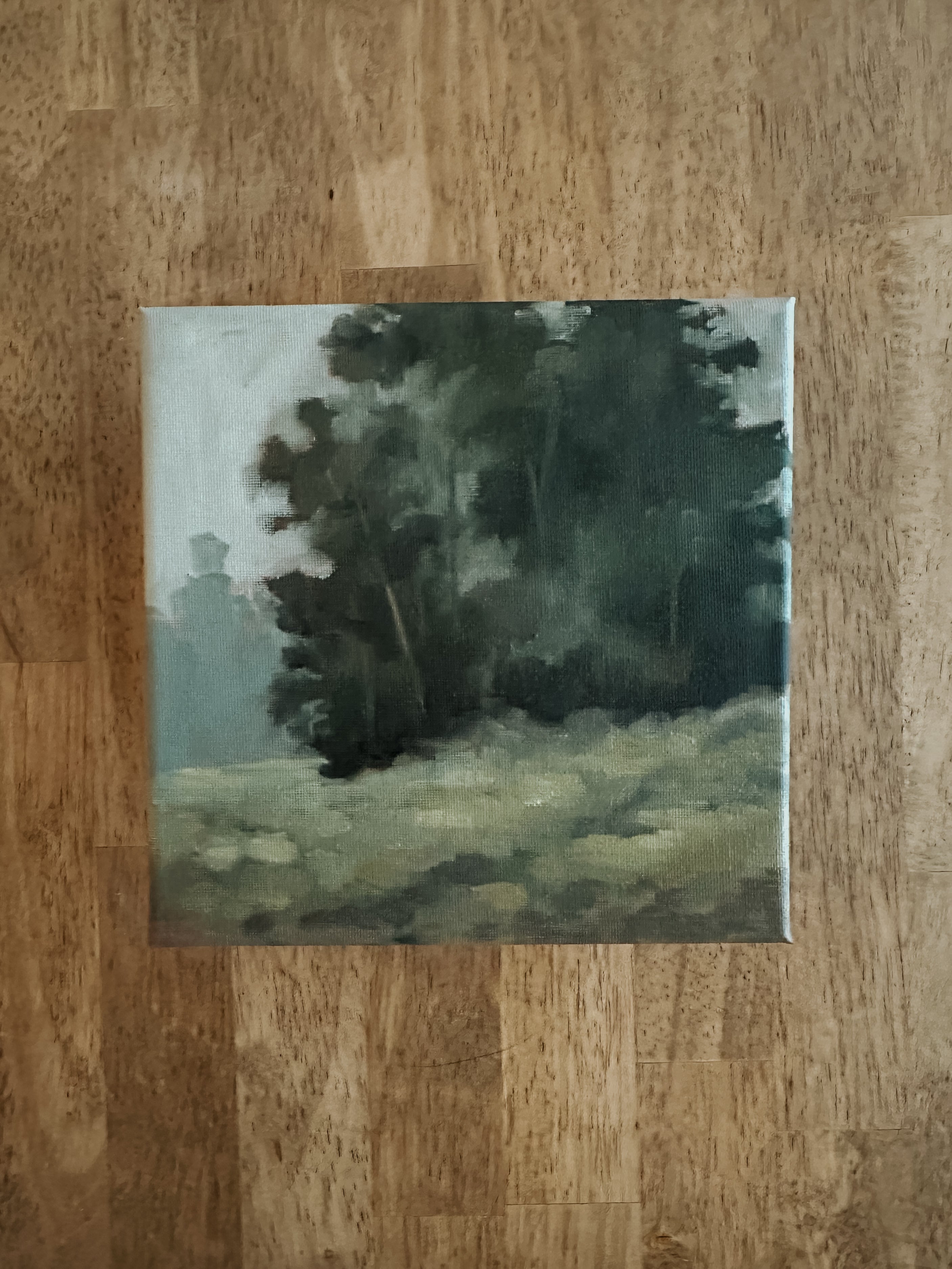 Cottonwoods on the Hill