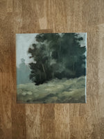 Load image into Gallery viewer, Cottonwoods on the Hill
