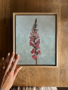 Pink Snapdragon