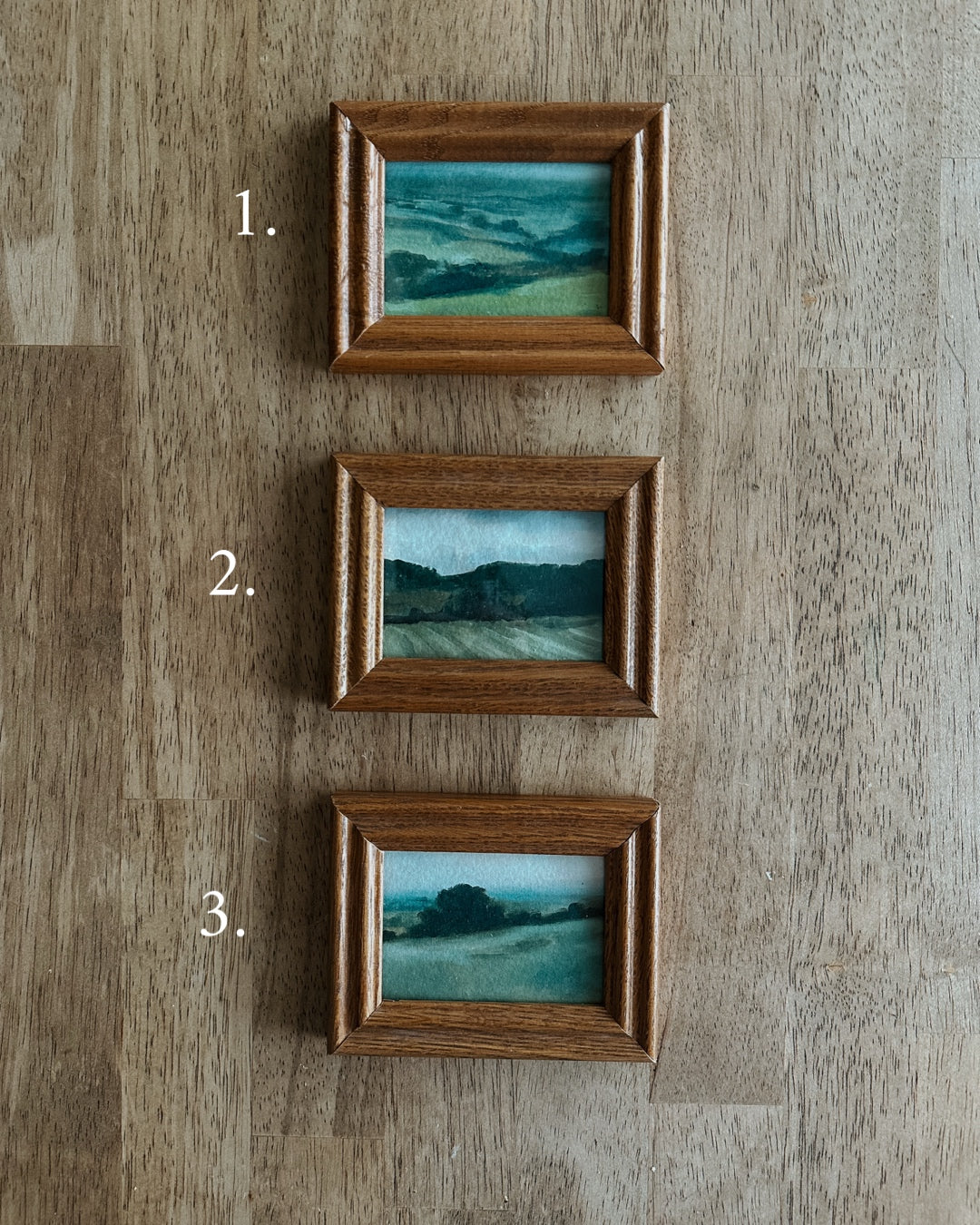 Framed Landscapes