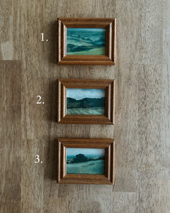 Framed Landscapes